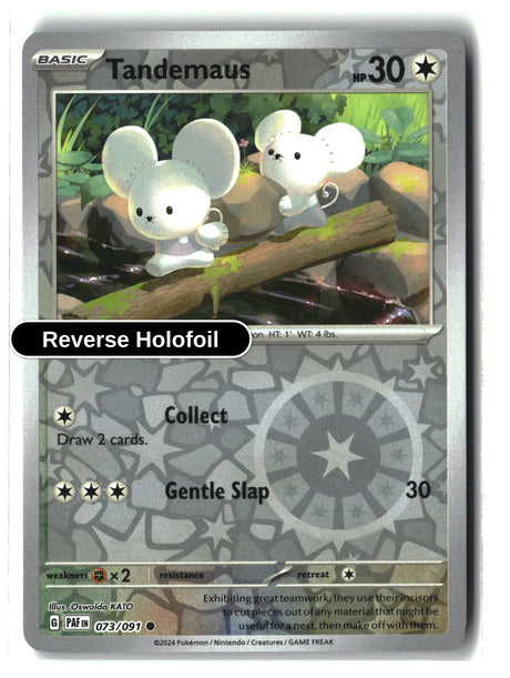 Tandemaus - 073/091 - [PAF - SV: Paldean Fates] - Reverse Holofoil