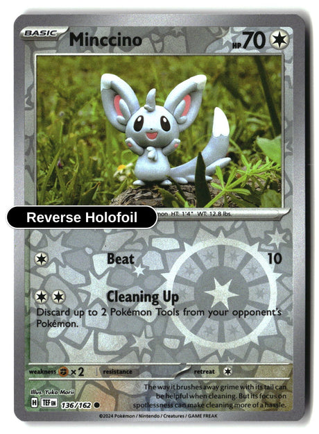 Minccino - 136/162 - [TEF - SV05: Temporal Forces] - Reverse Holofoil