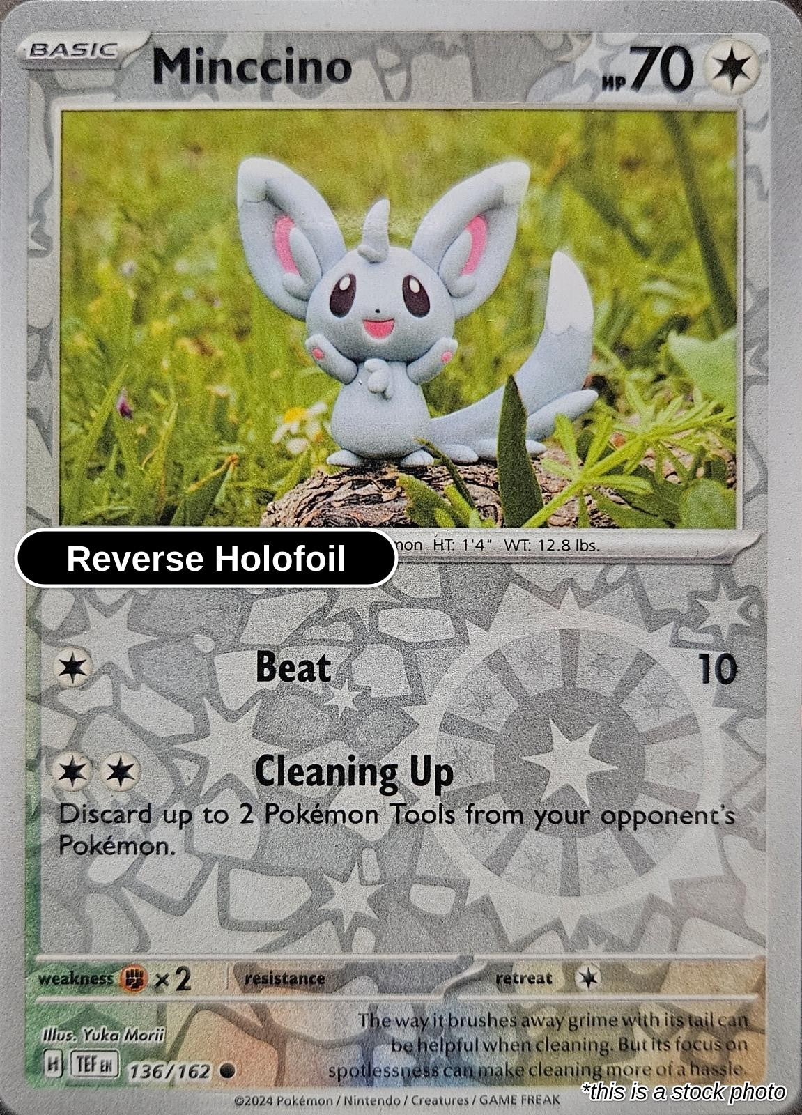 Minccino - 136/162 - [TEF - SV05: Temporal Forces] - Reverse Holofoil