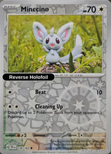 Minccino - 136/162 - [TEF - SV05: Temporal Forces] - Reverse Holofoil