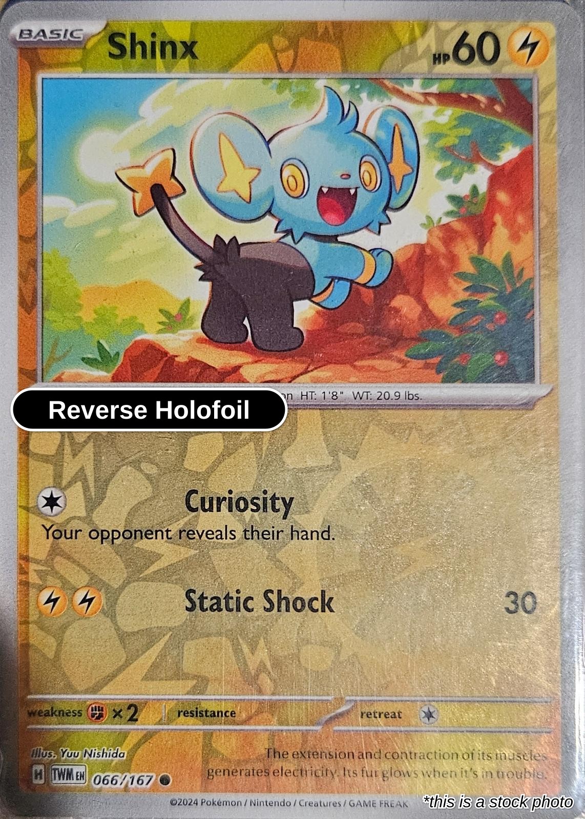 Shinx - 066/167 - [TWM - SV06: Twilight Masquerade] - Reverse Holofoil