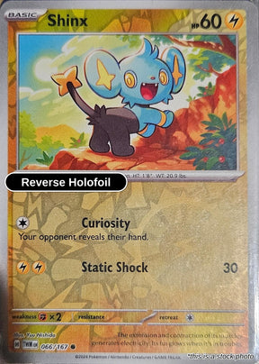 Shinx - 066/167 - [TWM - SV06: Twilight Masquerade] - Reverse Holofoil