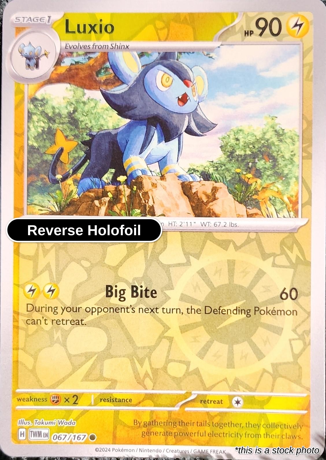 Luxio - 067/167 - [TWM - SV06: Twilight Masquerade] - Reverse Holofoil