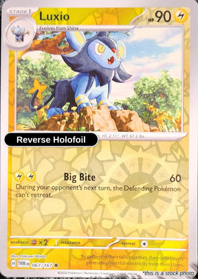 Luxio - 067/167 - [TWM - SV06: Twilight Masquerade] - Reverse Holofoil