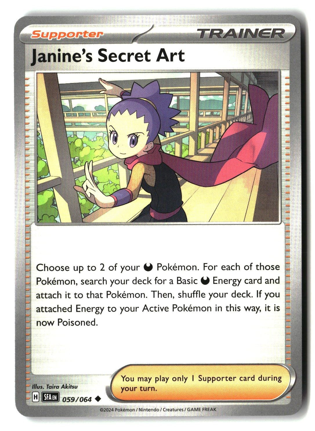 Janine's Secret Art - 059/064
