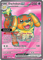 Dachsbun ex - 160/142