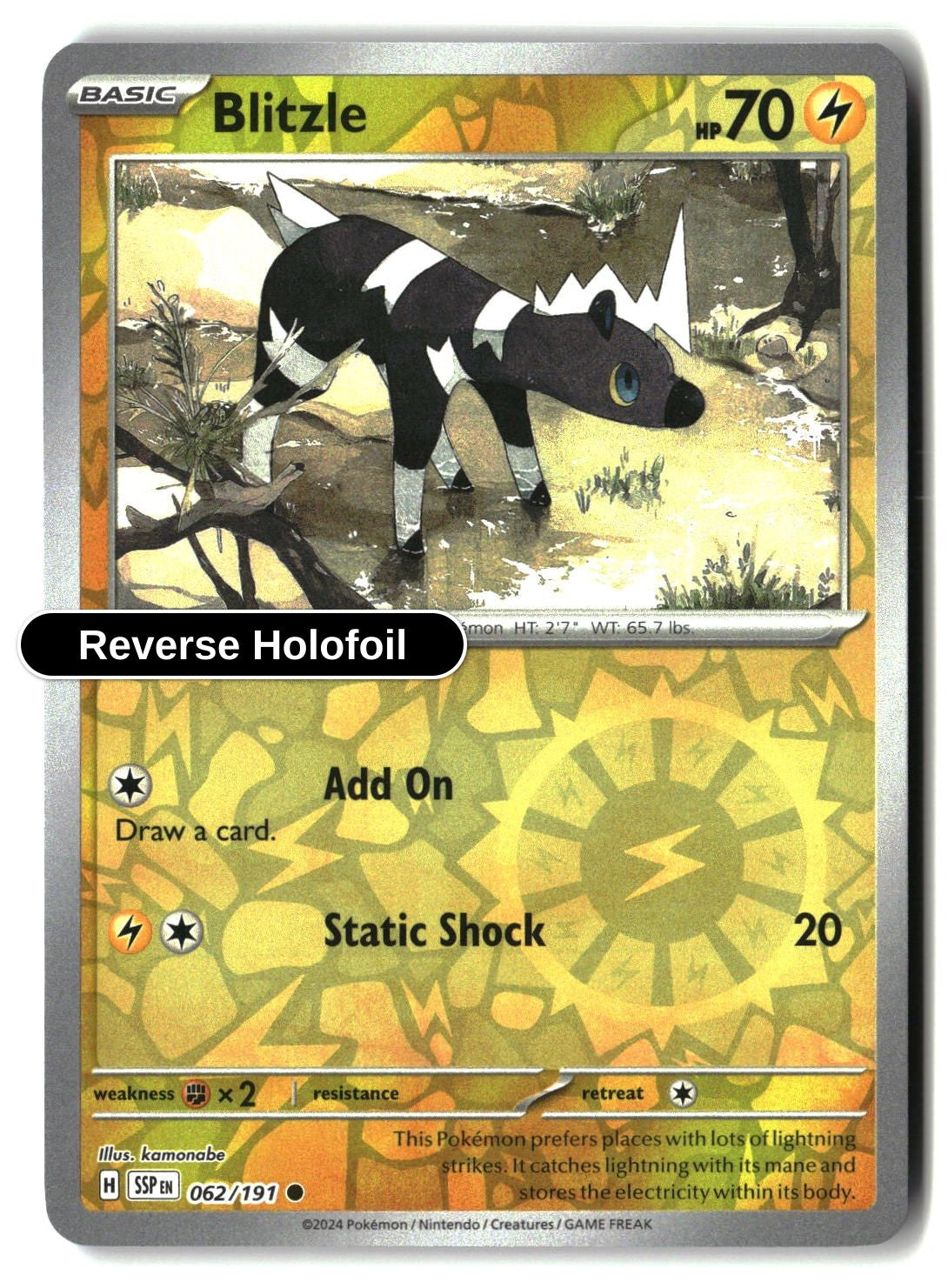 Blitzle - 062/191 - [SSP - SV08: Surging Sparks] - Reverse Holofoil