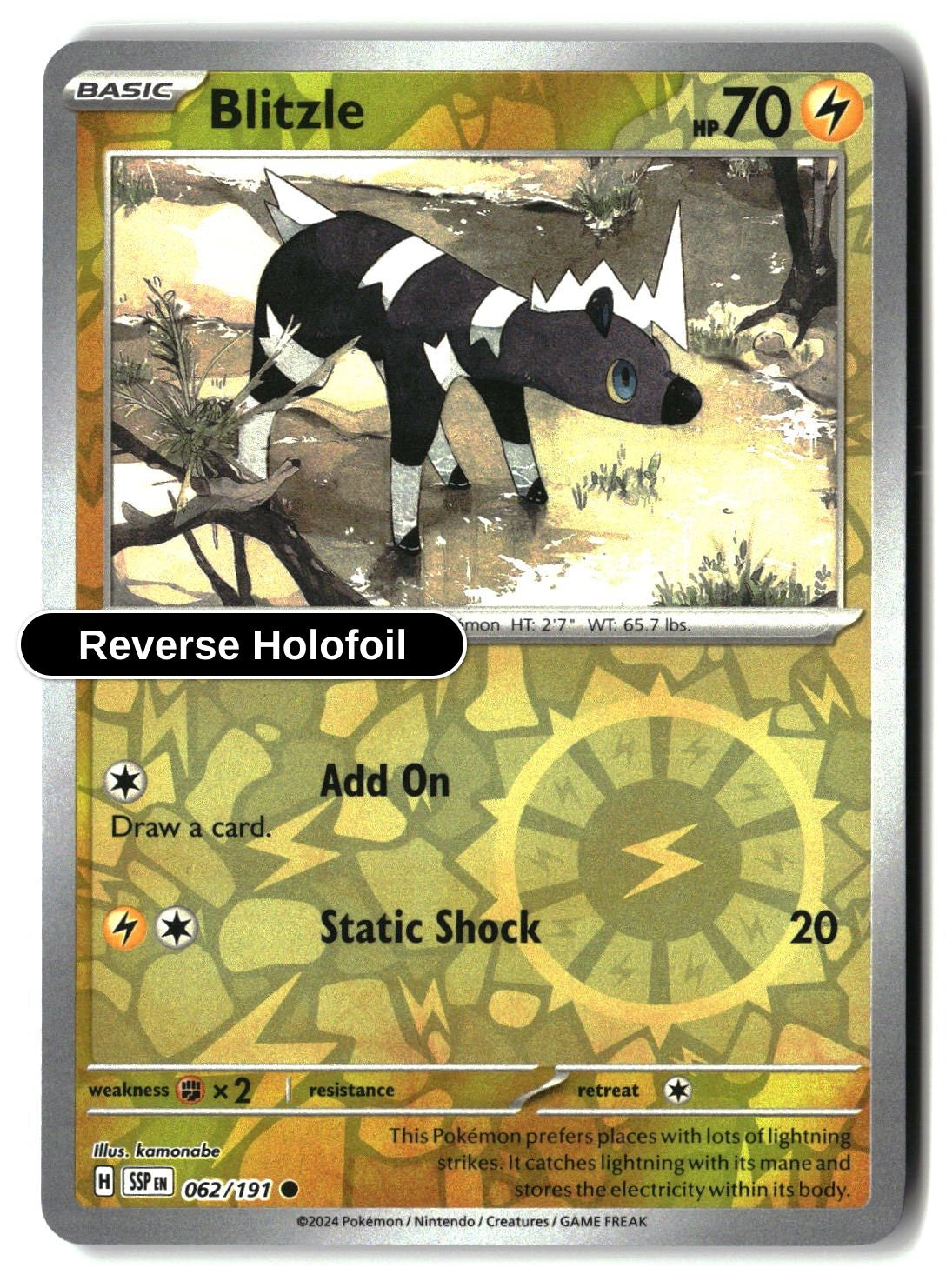 Blitzle - 062/191 - [SSP - SV08: Surging Sparks] - Reverse Holofoil