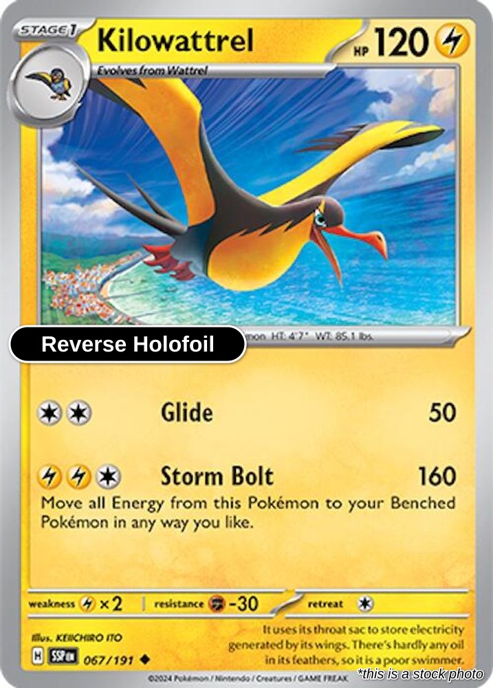 Kilowattrel - 067/191 - [SSP - SV08: Surging Sparks] - Reverse Holofoil