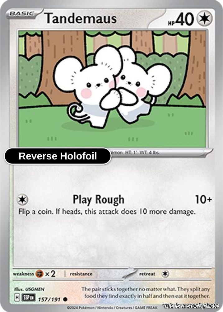 Tandemaus - 157/191 - [SSP - SV08: Surging Sparks] - Reverse Holofoil