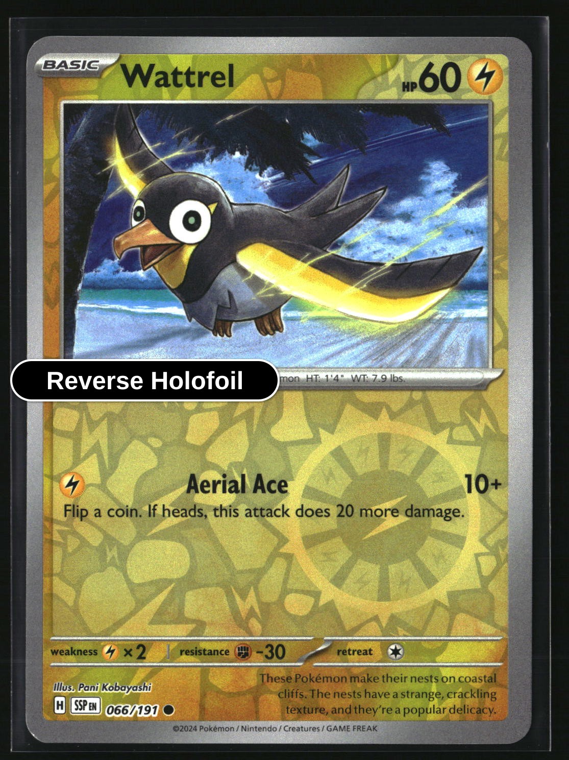 Wattrel - 066/191 - [SSP - SV08: Surging Sparks] - Reverse Holofoil