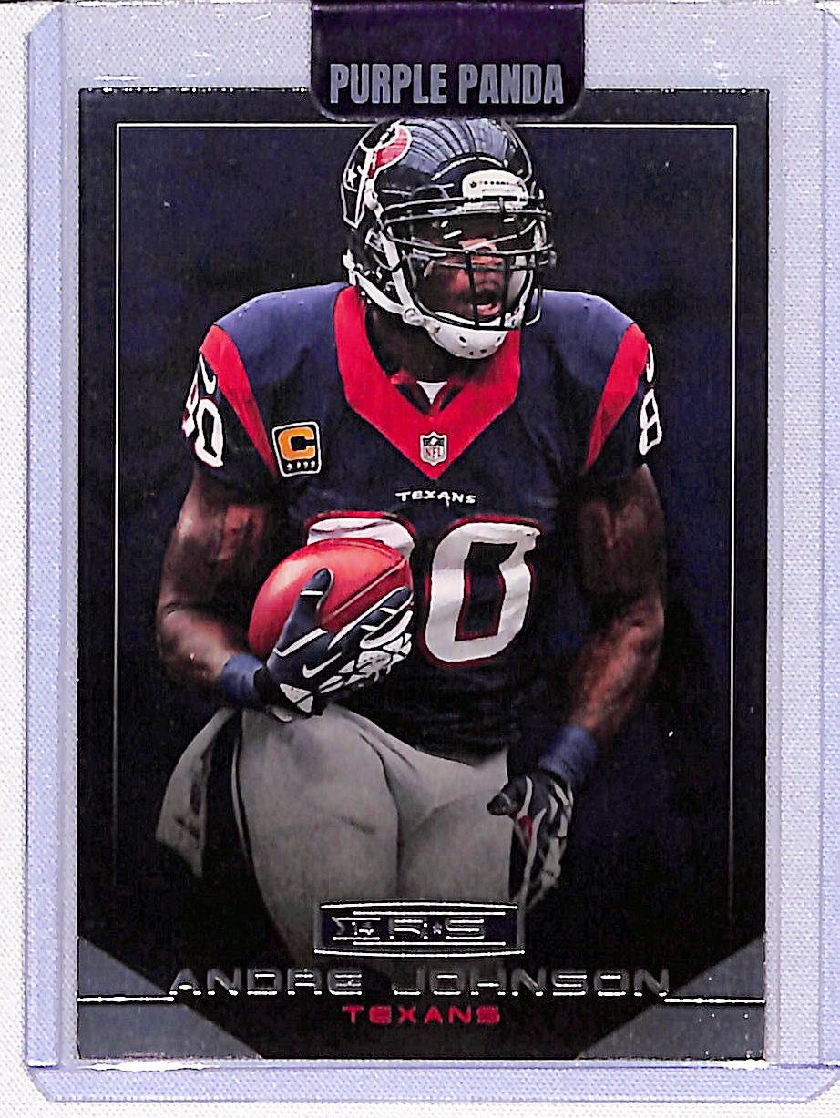 Andre Johnson 2014 Panini Rookies & Stars #49