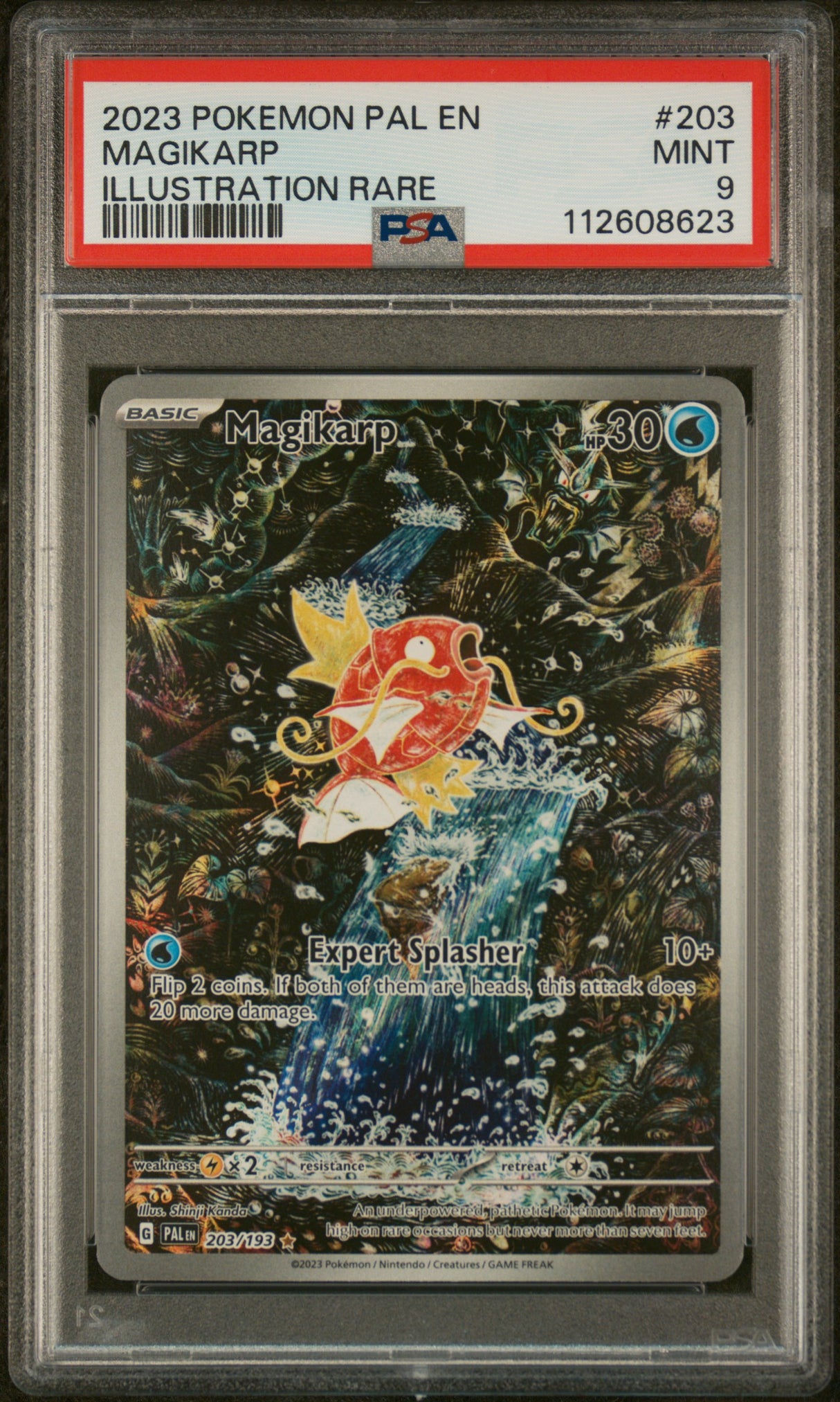 Magikarp SV02: Paldea Evolved #203/193 PSA 9