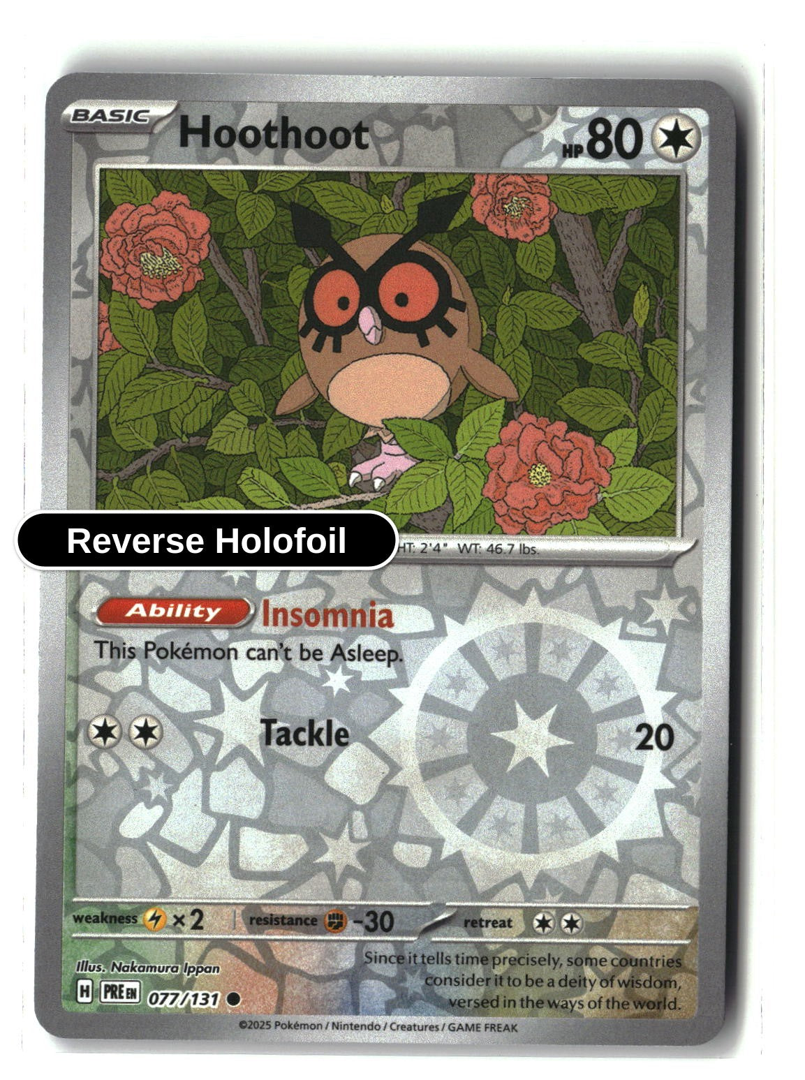 Hoothoot - 077/131 - [PRE - SV: Prismatic Evolutions] - Reverse Holofoil
