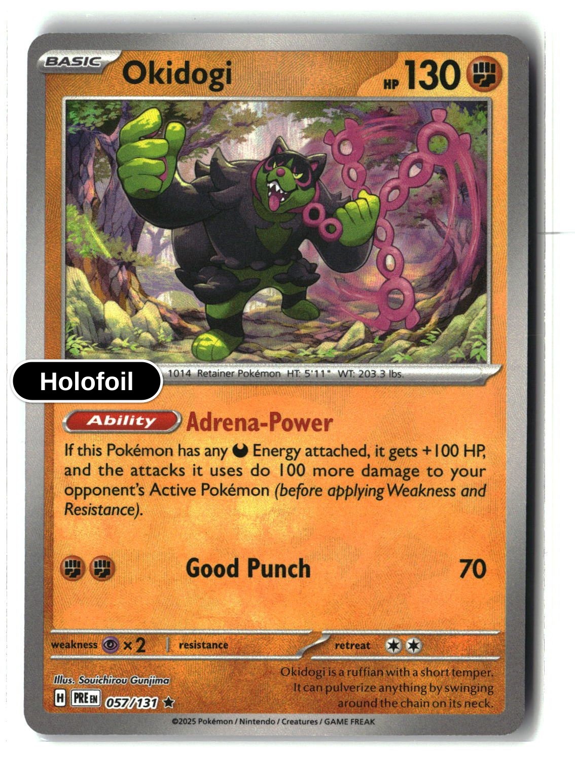 Okidogi (Poke Ball Pattern)