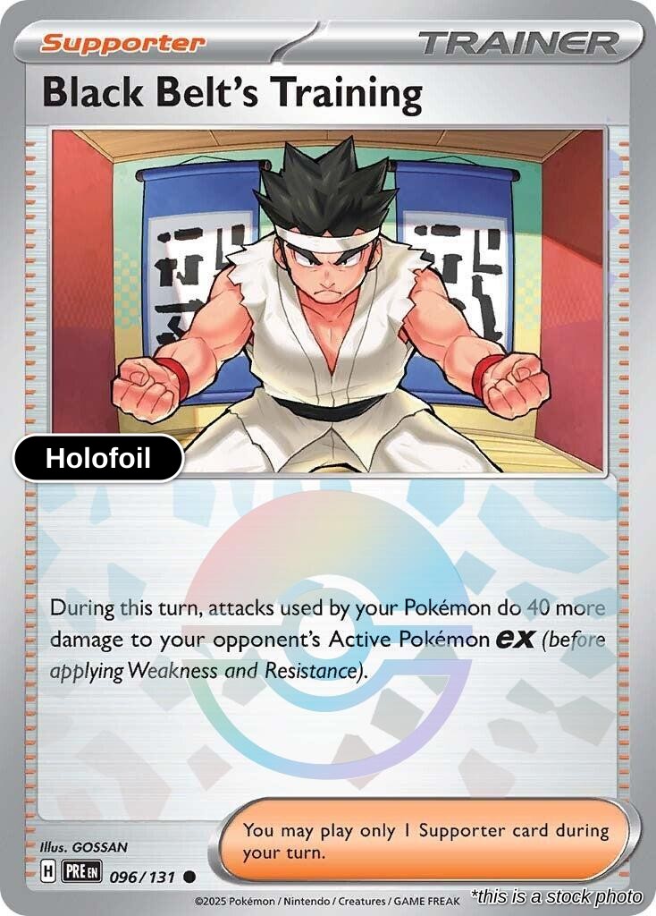 Black Belt's Training - 096/131 (Poke Ball Pattern)
