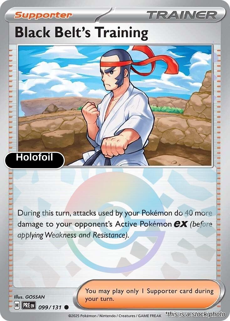 Black Belt's Training - 099/131 (Poke Ball Pattern)