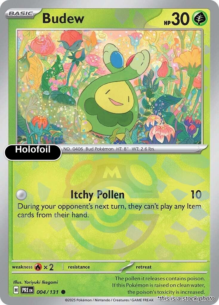 Budew (Master Ball Pattern)
