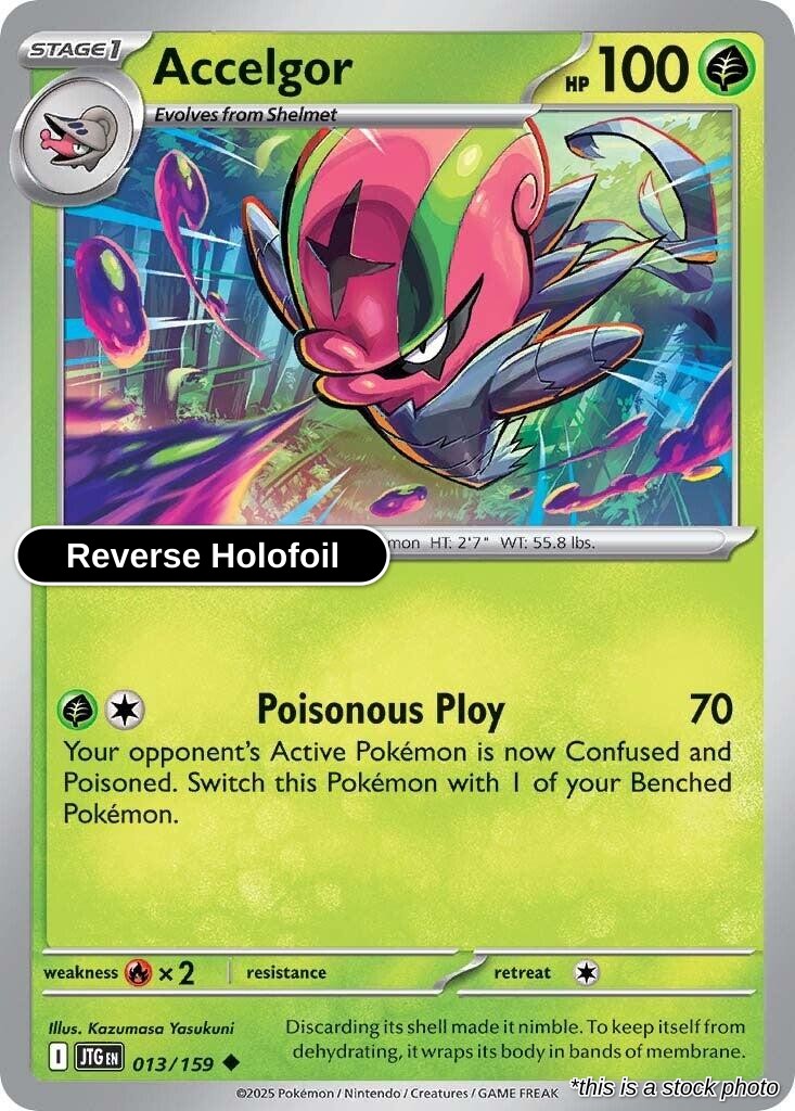 Accelgor - 013/159 - [JTG - SV09: Journey Together] - Reverse Holofoil