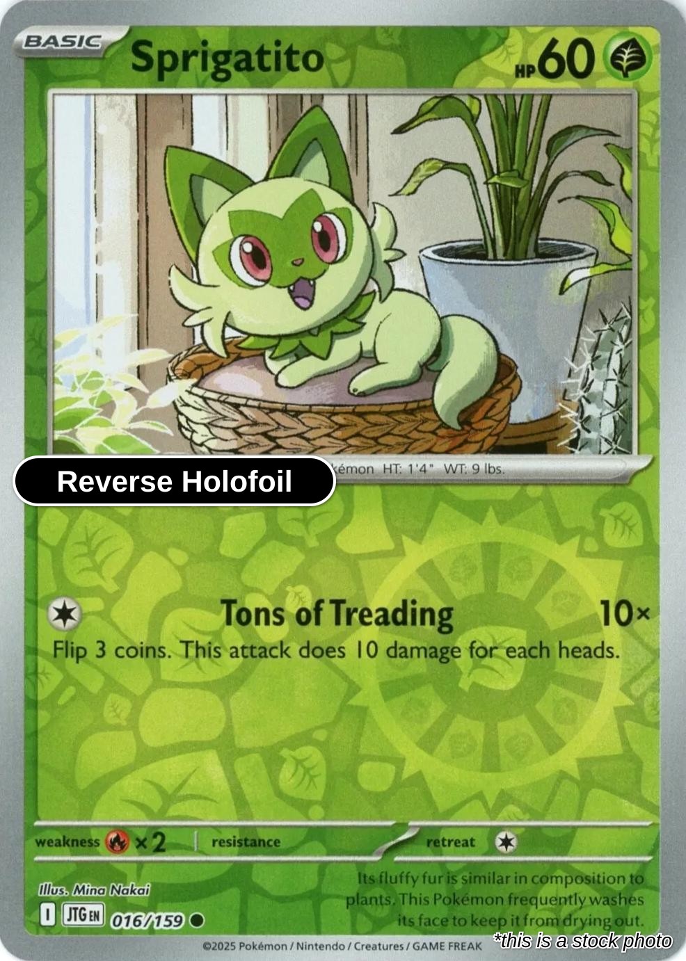 Sprigatito - 016/159 - [JTG - SV09: Journey Together] - Reverse Holofoil
