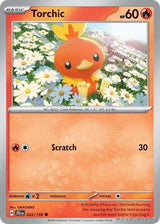 Torchic