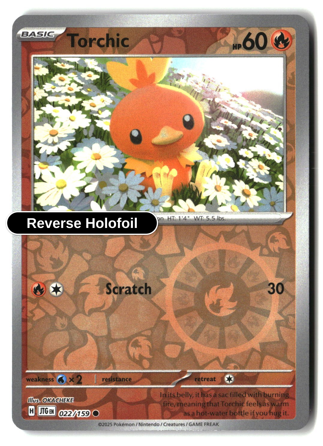 Torchic - 022/159 - [JTG - SV09: Journey Together] - Reverse Holofoil