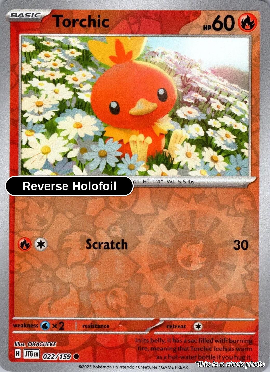 Torchic - 022/159 - [JTG - SV09: Journey Together] - Reverse Holofoil