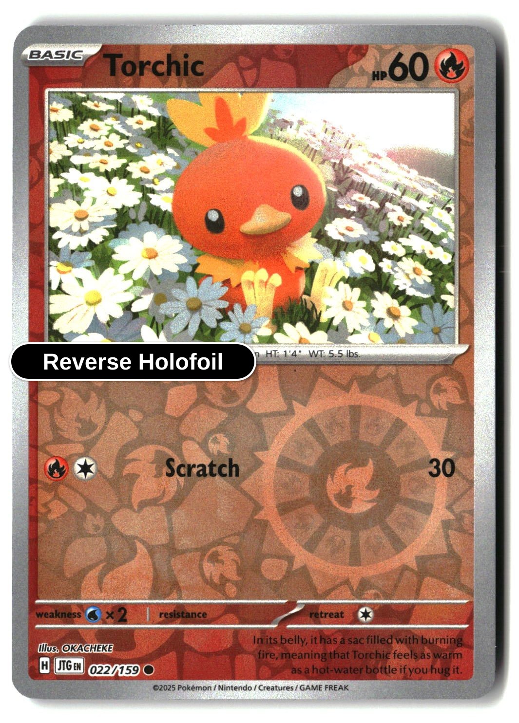 Torchic - 022/159 - [JTG - SV09: Journey Together] - Reverse Holofoil