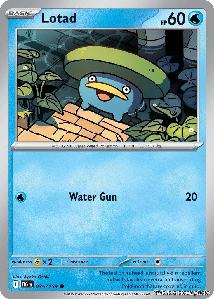Lotad - 035/159 - [JTG - SV09: Journey Together]