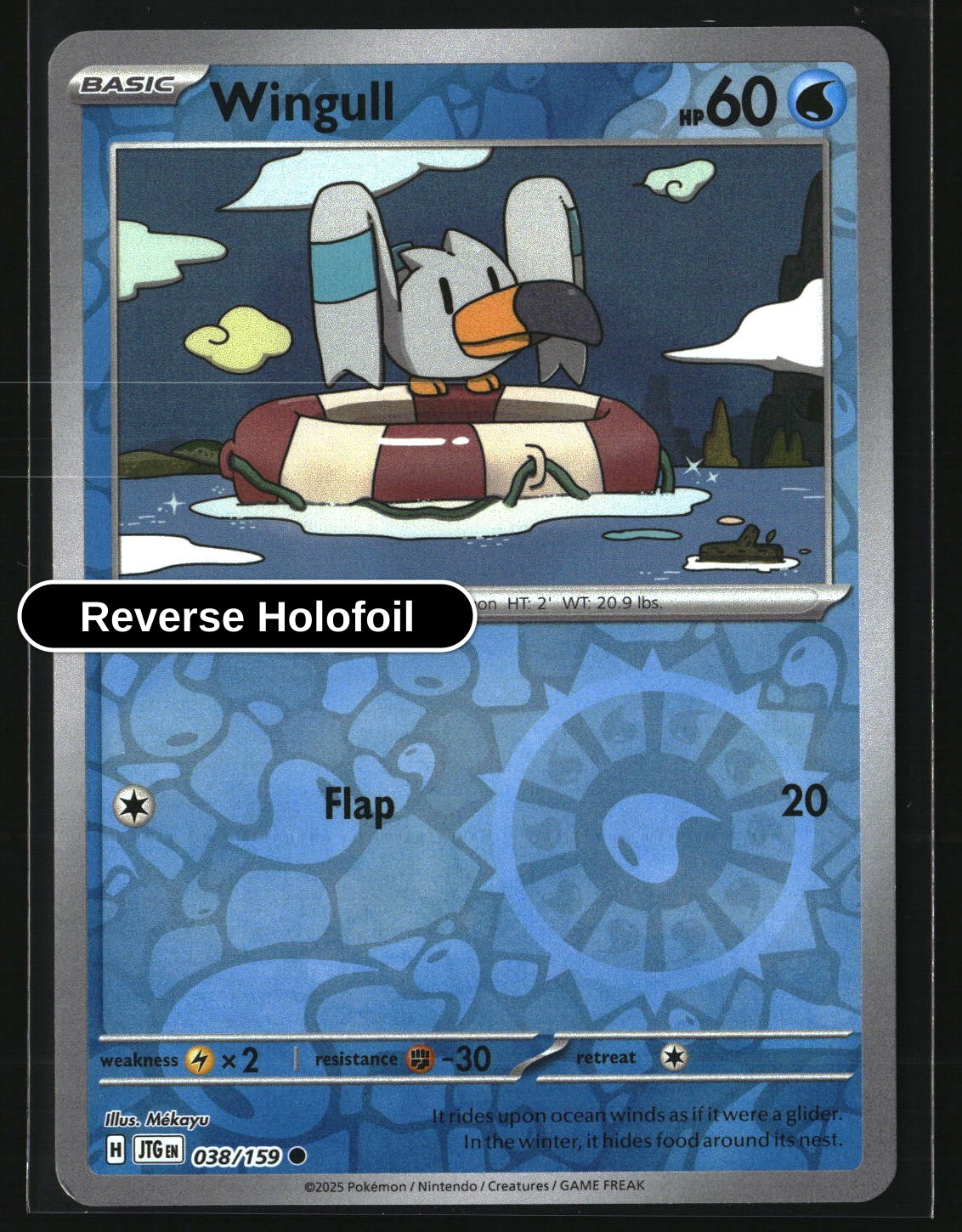 Wingull - 038/159 - [JTG - SV09: Journey Together] - Reverse Holofoil