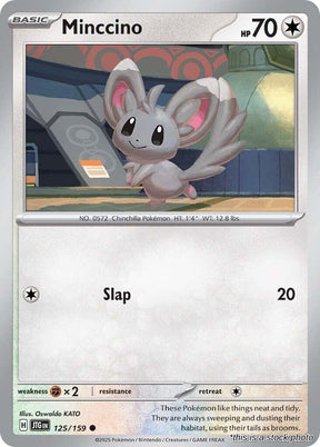 Minccino