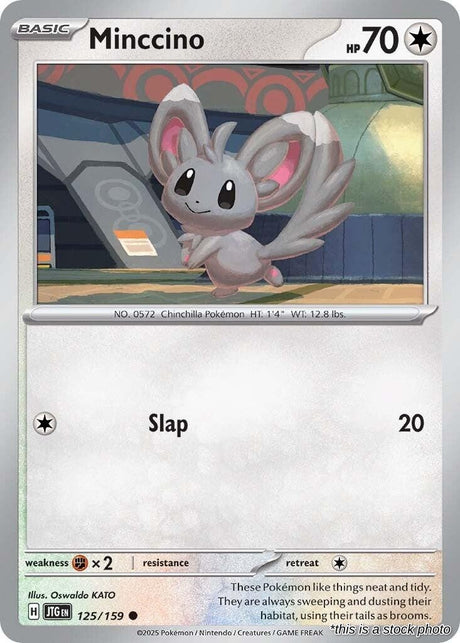 Minccino