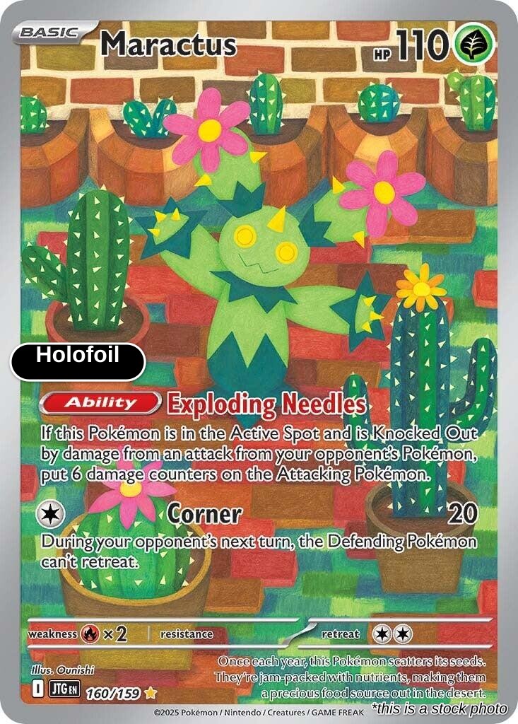 Maractus - 160/159