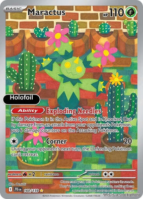 Maractus - 160/159