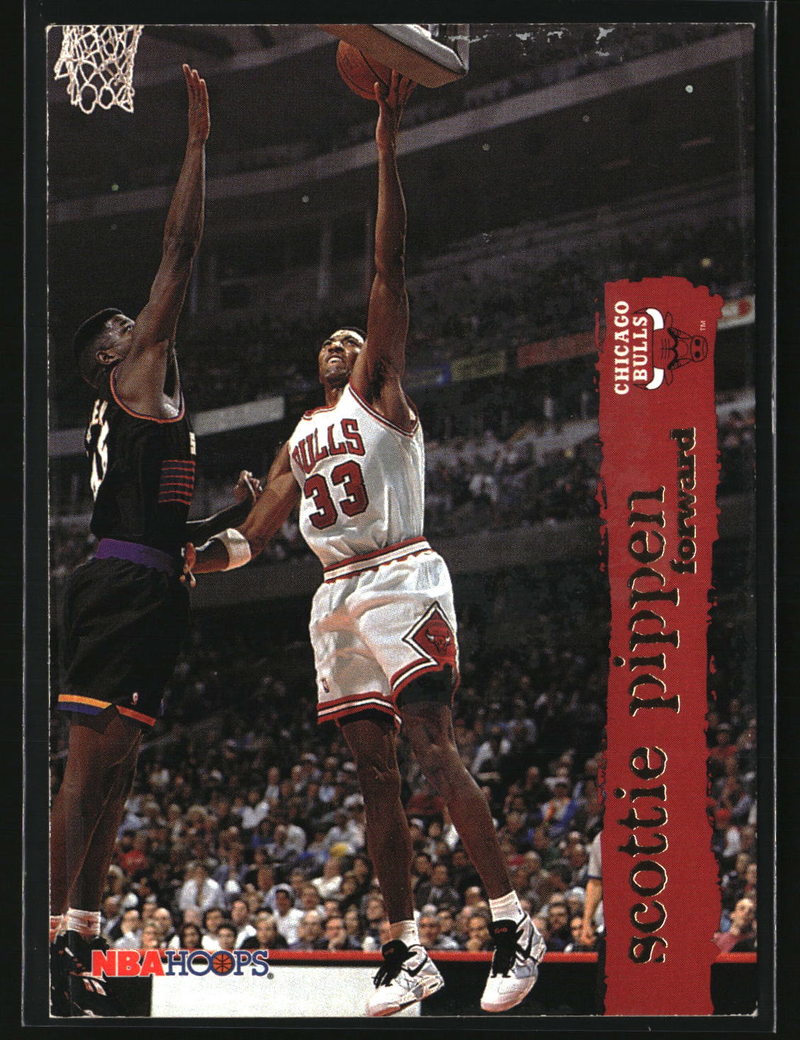 Scottie Pippen 1995-96 Hoops #24