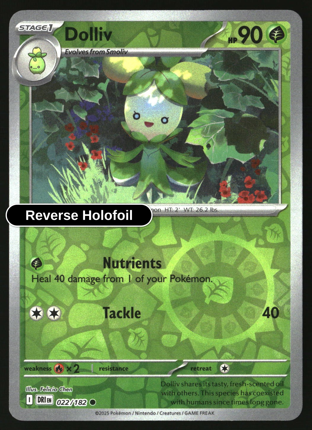 Dolliv - 022/182 - [DRI - SV10: Destined Rivals] - Reverse Holofoil
