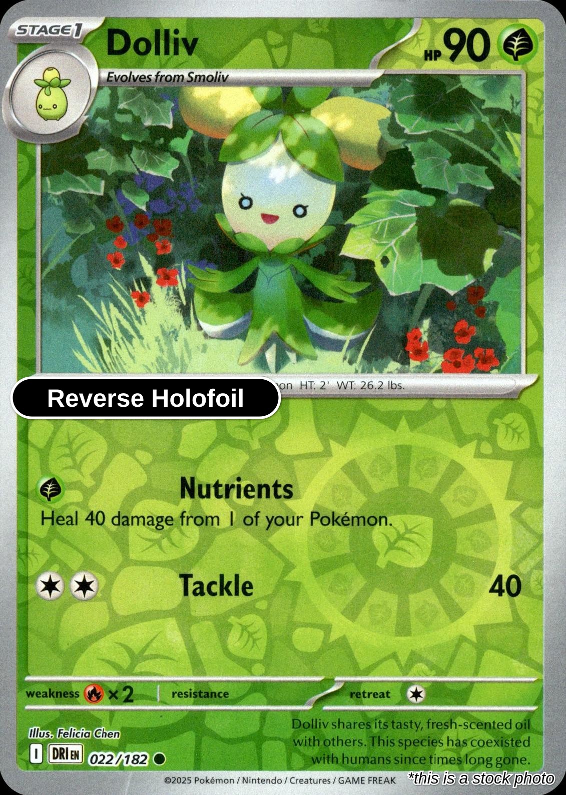 Dolliv - 022/182 - [DRI - SV10: Destined Rivals] - Reverse Holofoil