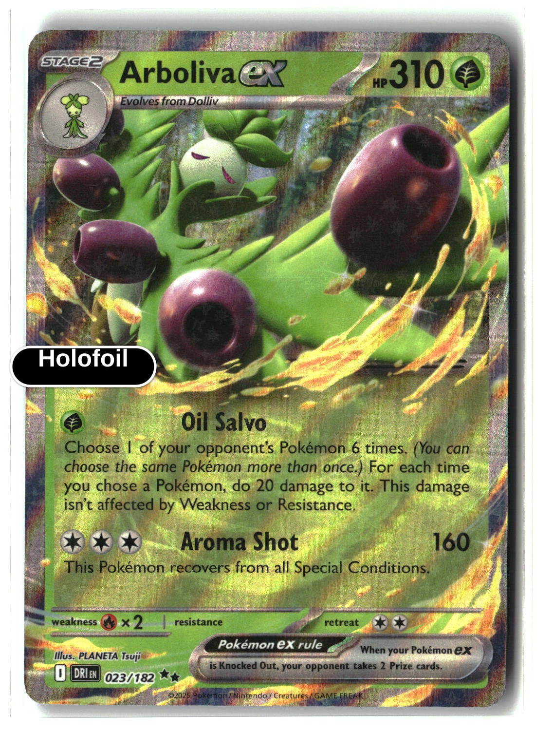 Arboliva ex