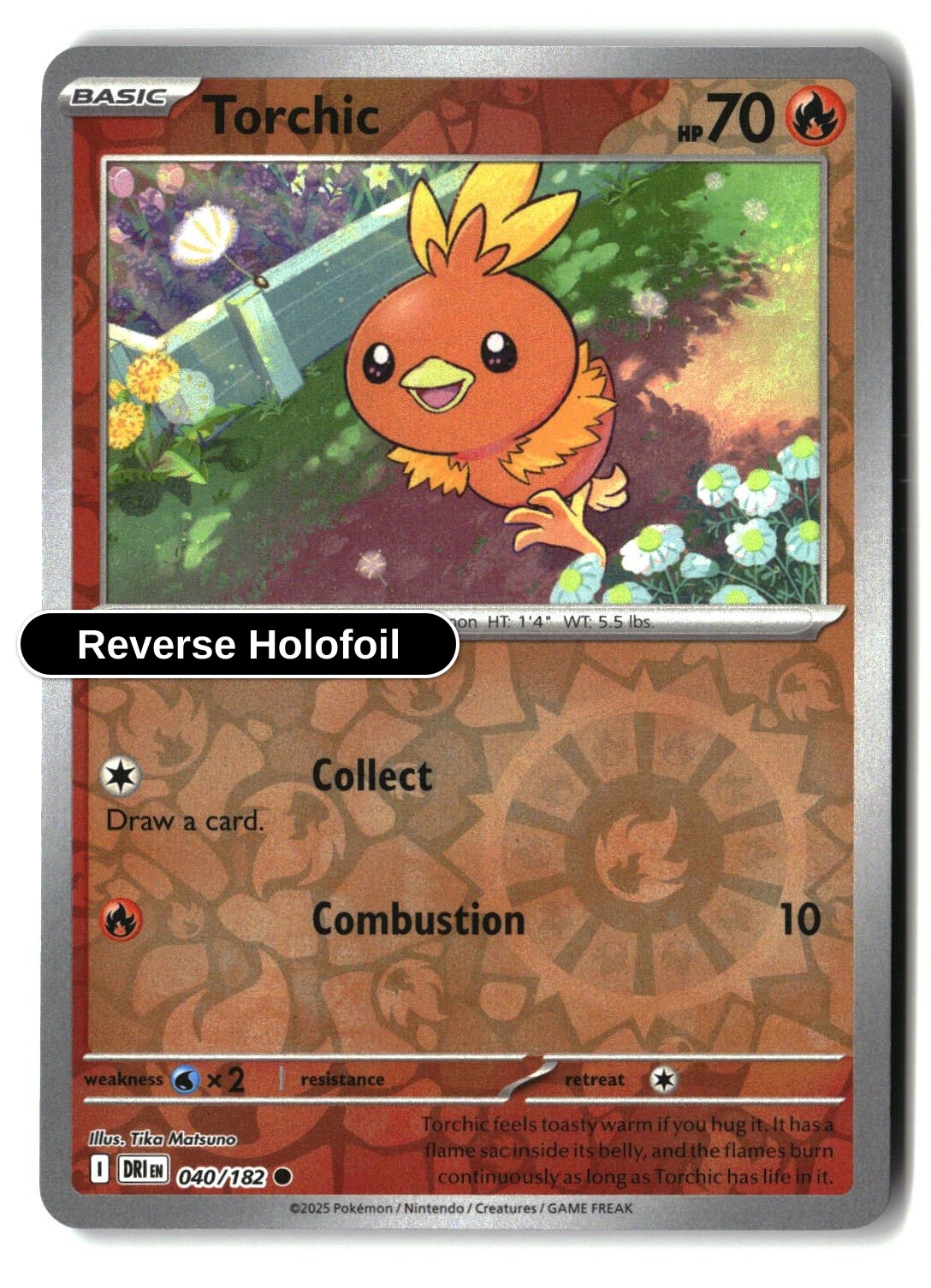 Torchic - 040/182 - [DRI - SV10: Destined Rivals] - Reverse Holofoil