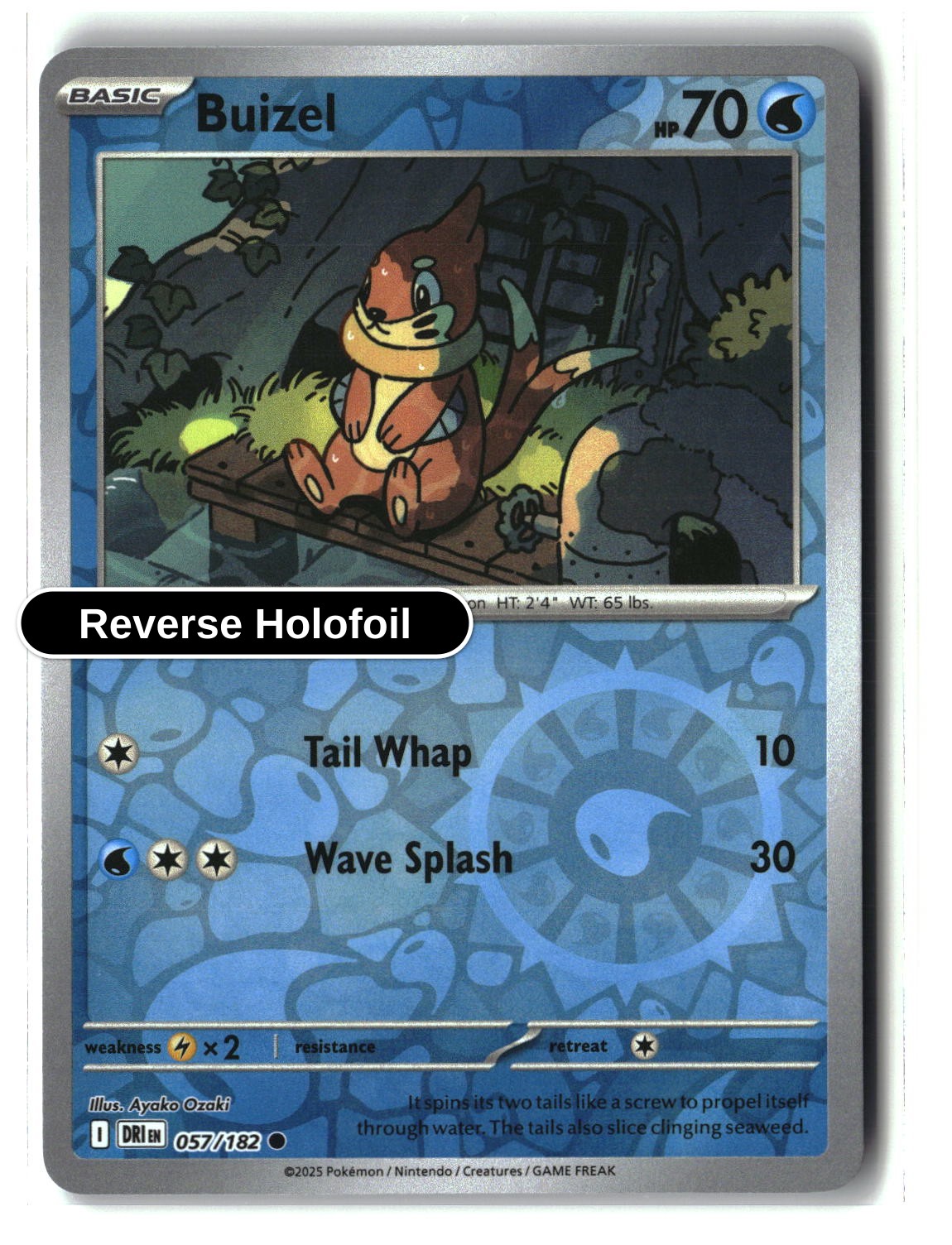 Buizel - 057/182 - [DRI - SV10: Destined Rivals] - Reverse Holofoil