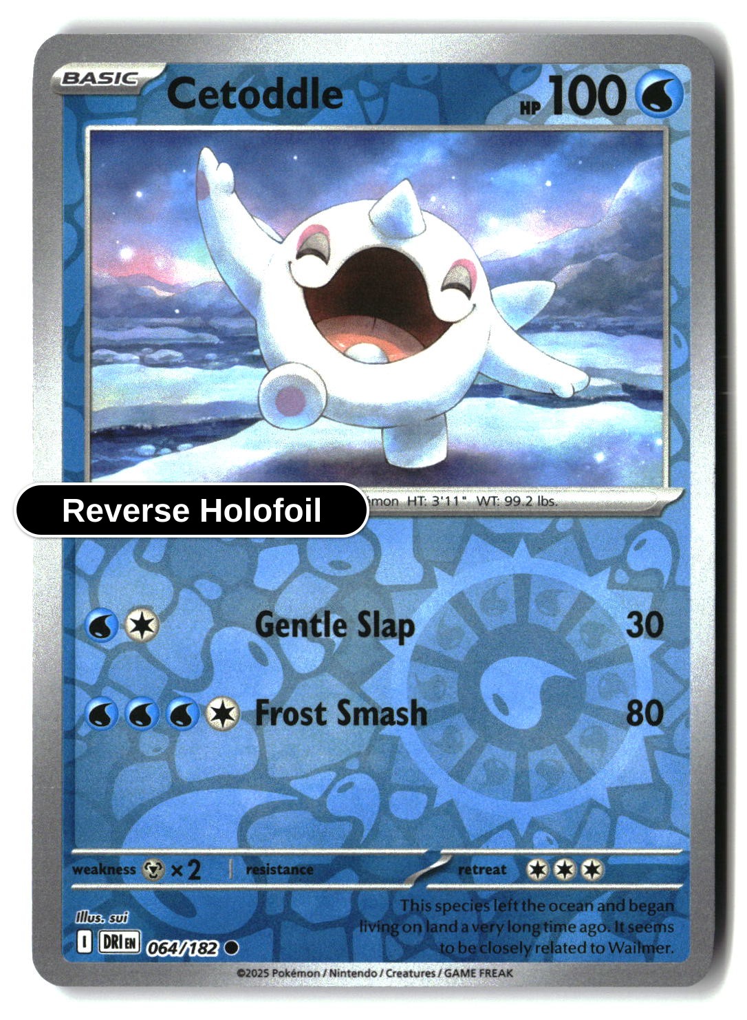 Cetoddle - 064/182 - [DRI - SV10: Destined Rivals] - Reverse Holofoil