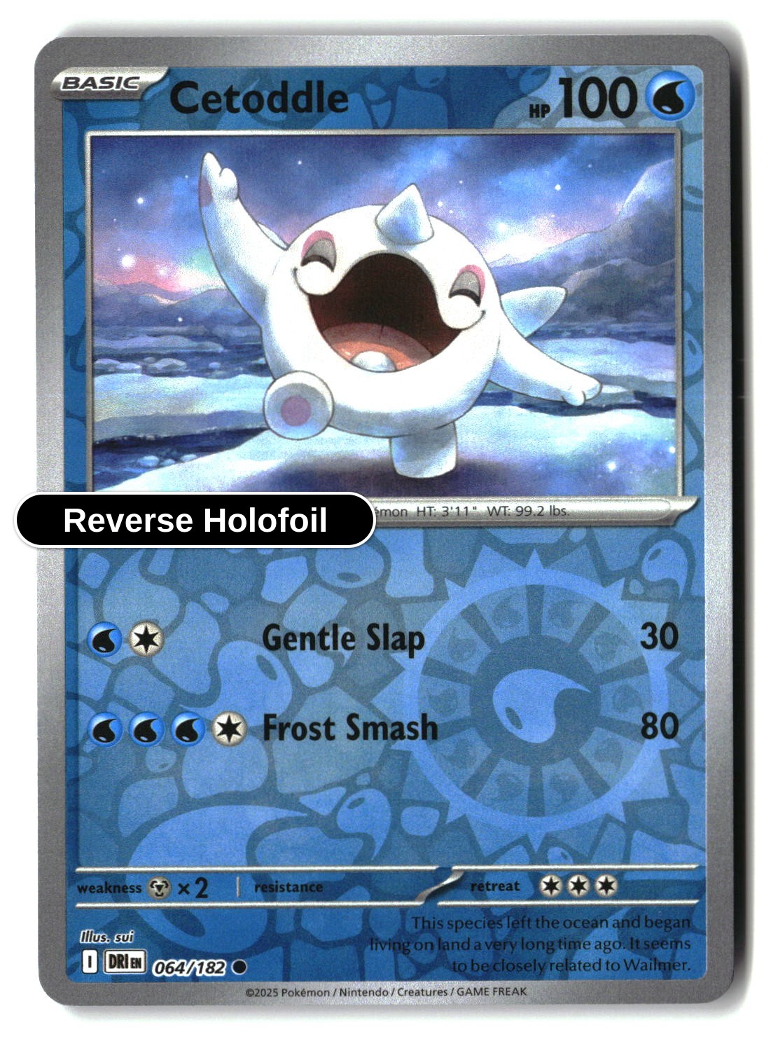 Cetoddle - 064/182 - [DRI - SV10: Destined Rivals] - Reverse Holofoil