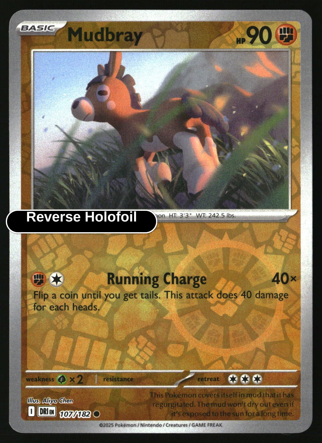 Mudbray