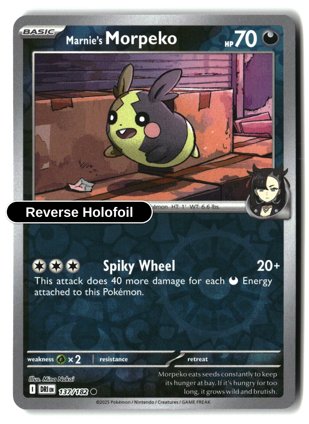 Marnie's Morpeko - 137/182 - [DRI - SV10: Destined Rivals] - Reverse Holofoil