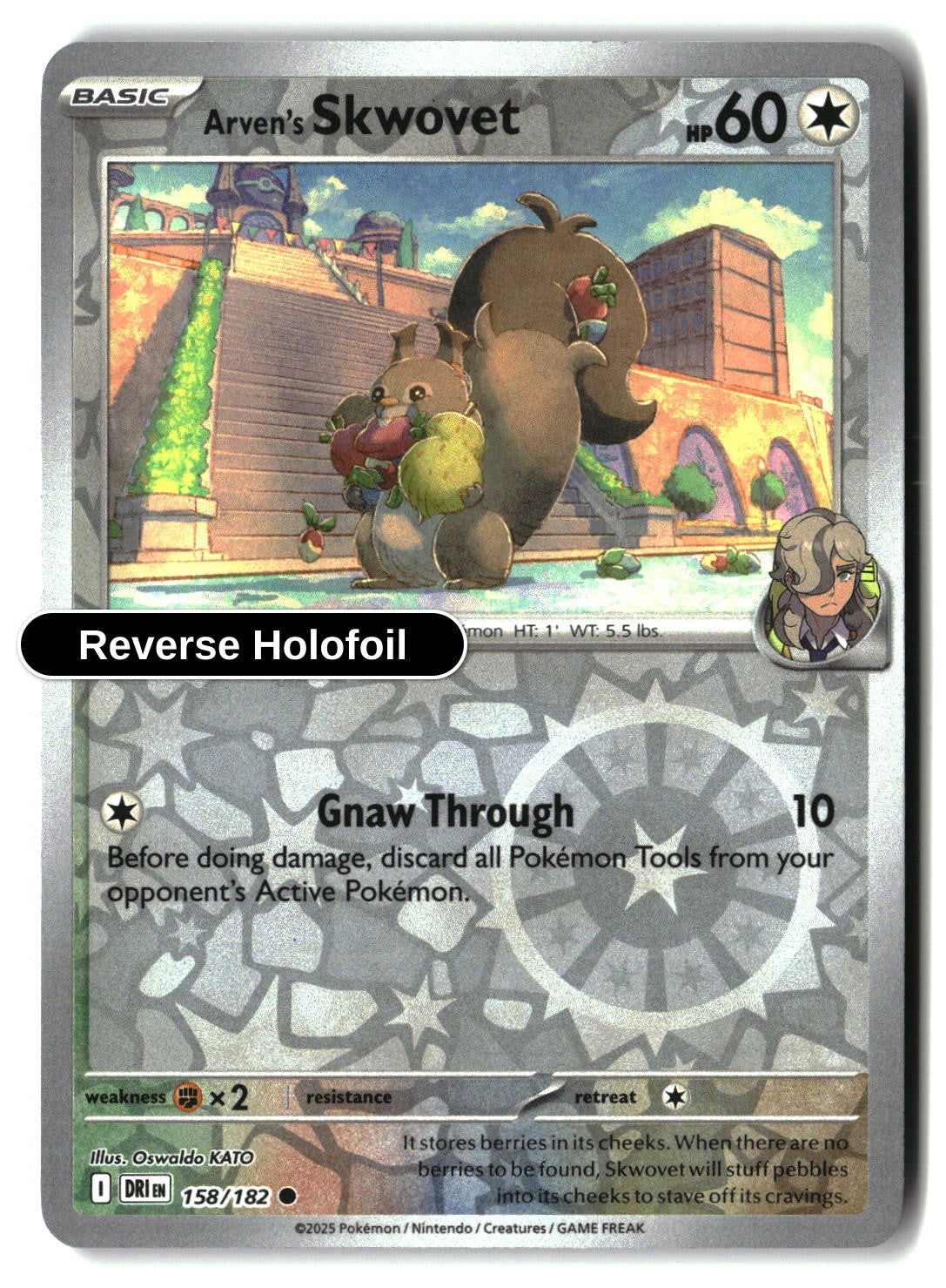 Arven's Skwovet - 158/182 - [DRI - SV10: Destined Rivals] - Reverse Holofoil