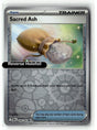 Sacred Ash
