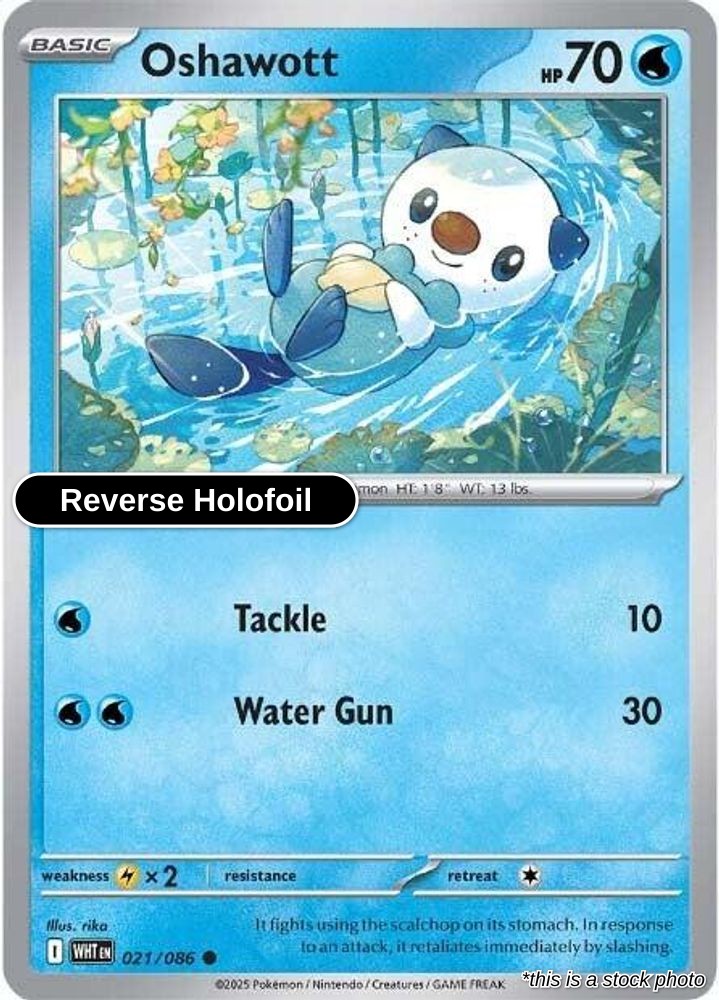 Oshawott - 021/086 - [WHT - SV: White Flare] - Reverse Holofoil