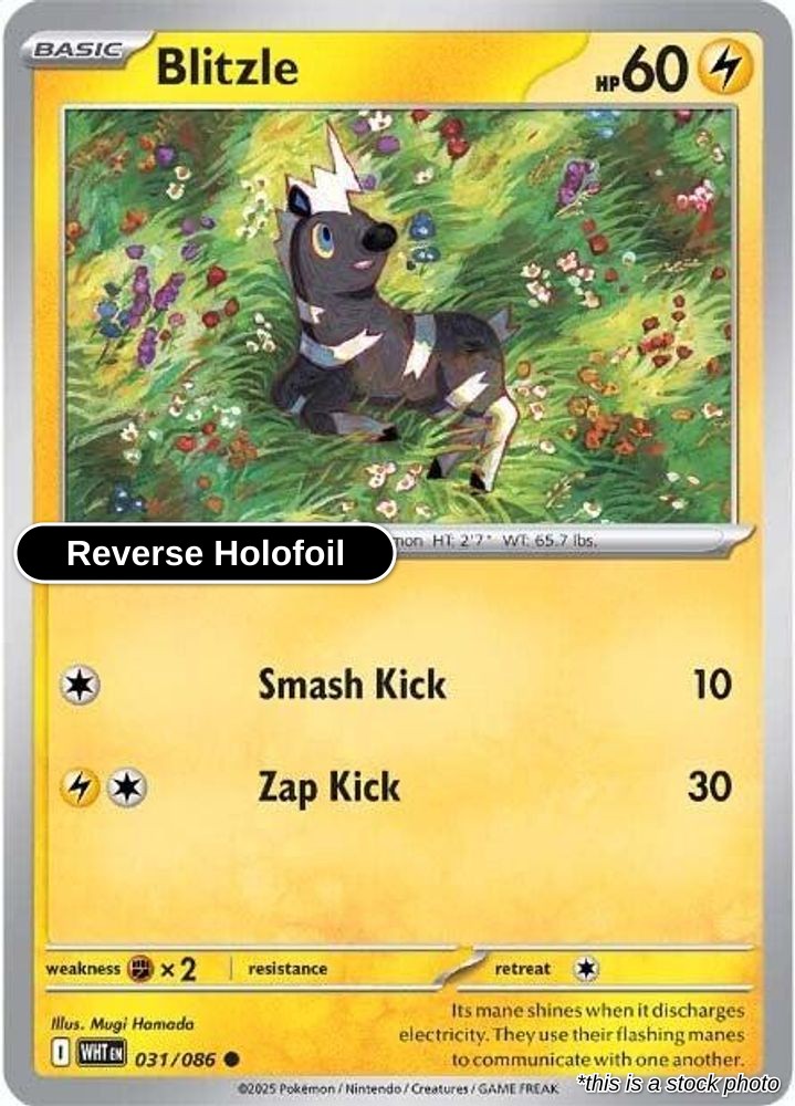 Blitzle - 031/086 - [WHT - SV: White Flare] - Reverse Holofoil