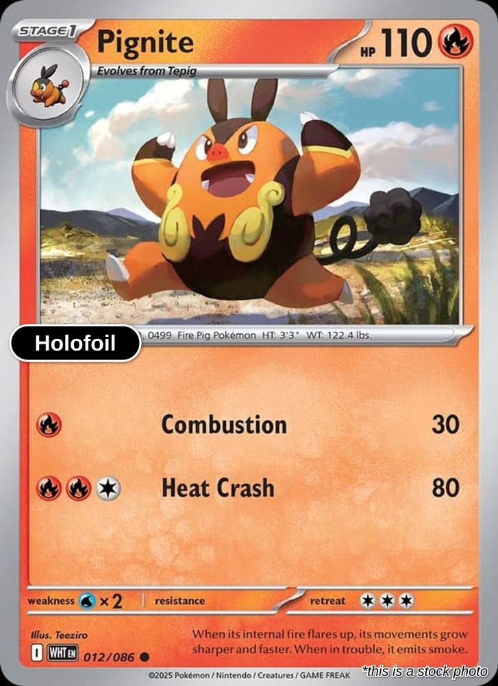 Pignite (Poke Ball Pattern)