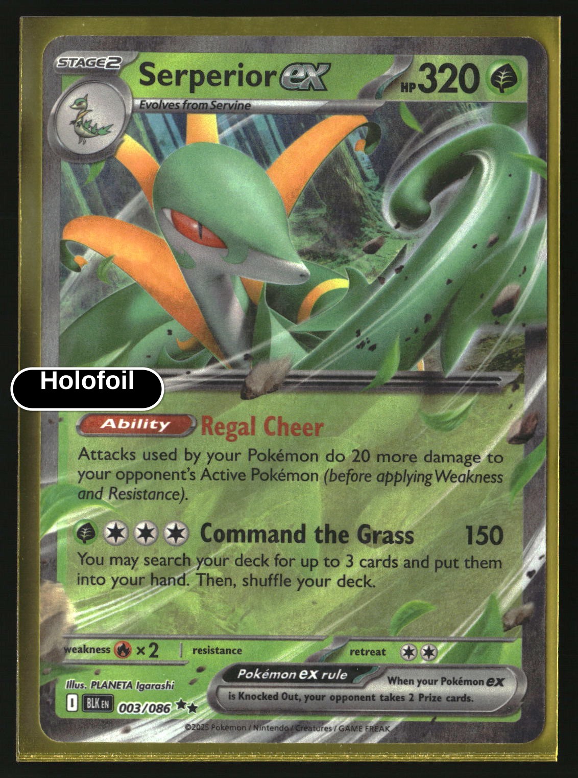 Serperior ex